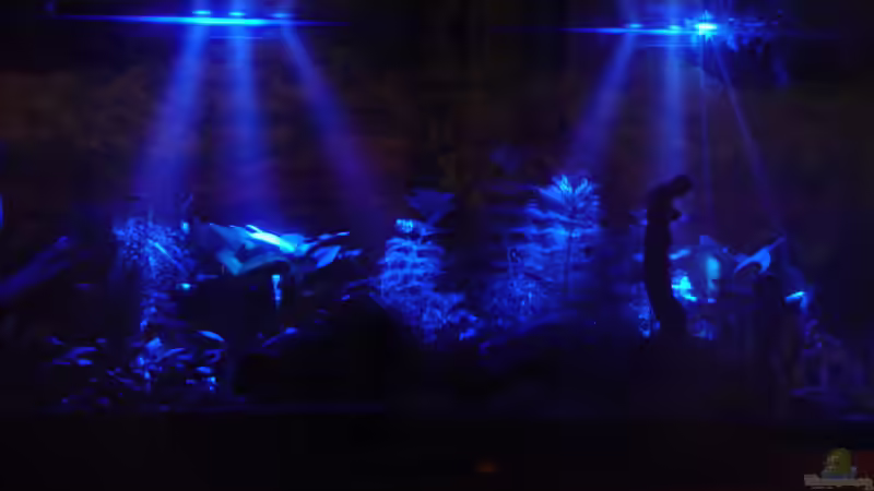 Mondlicht von kleintommy (5)