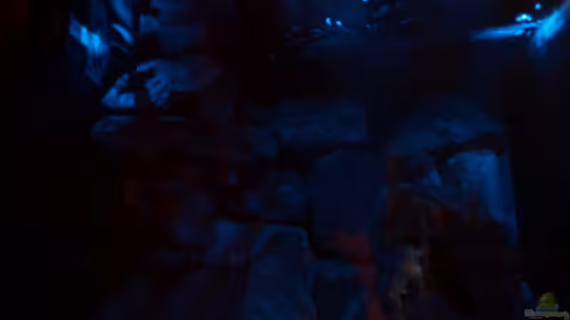 Mondlicht von LISA (14)