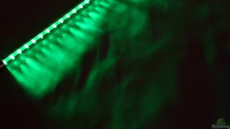 Mondlicht von lumpi (33)