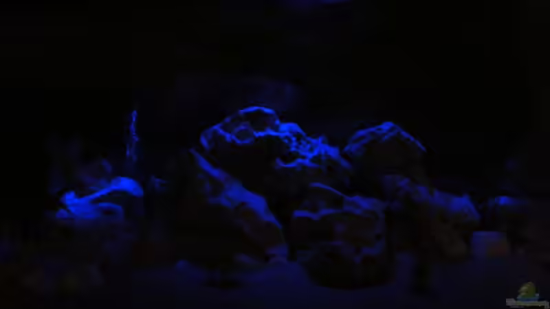 Mondlicht von Malaw!K!d (9)