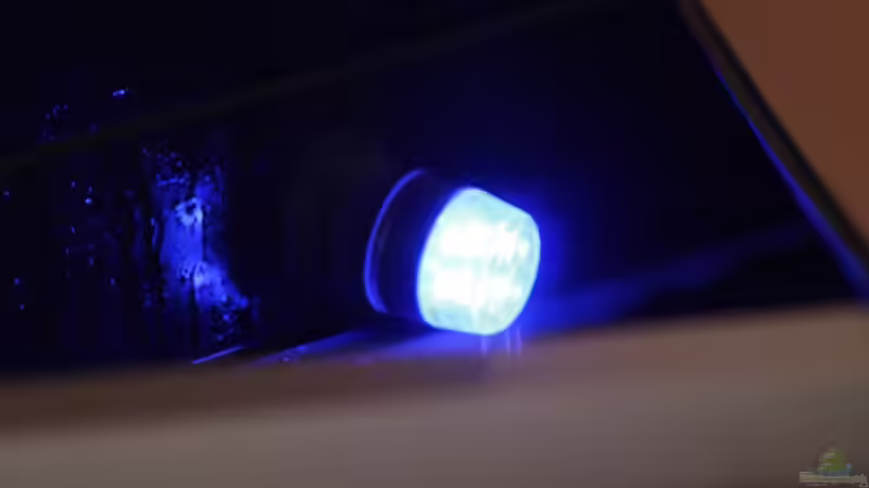 Mondlicht von Manuel König (11)