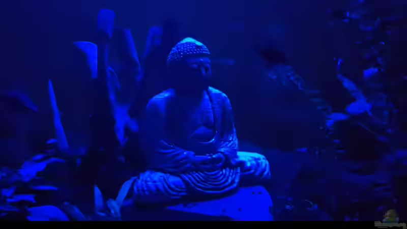 Mondlicht von Manuela&Mike (13)