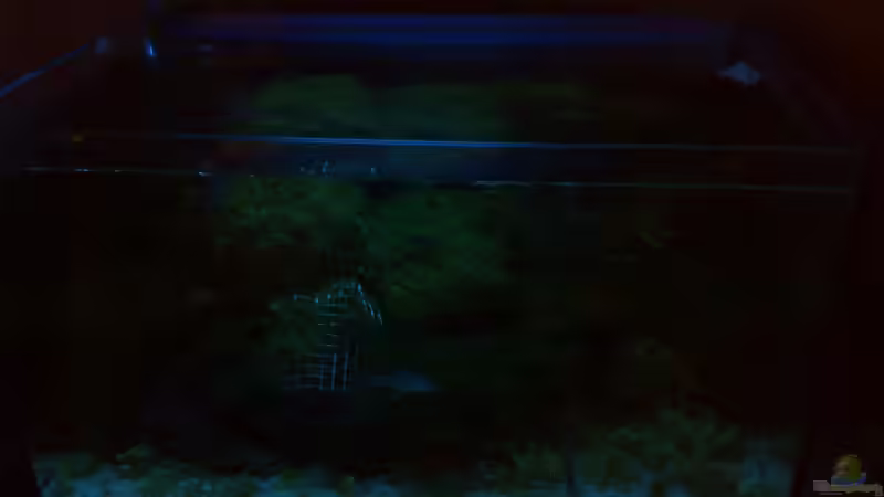 Mondlicht von Marc Joist (9)