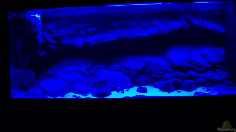 Mondlicht von Markus Walter (6)