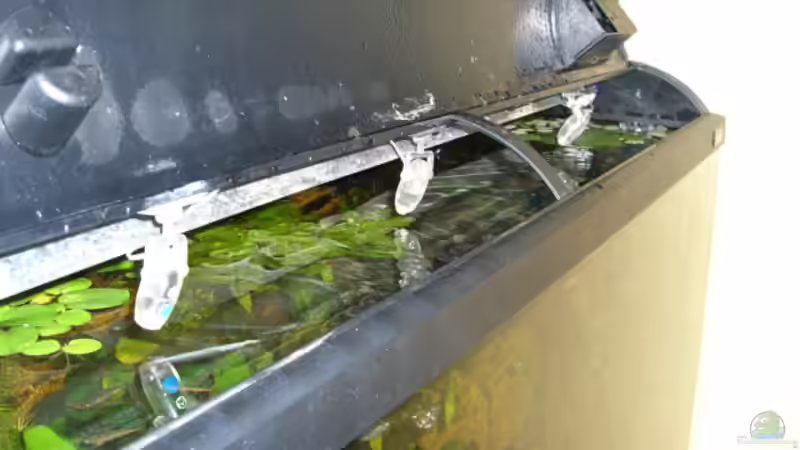 Mondlicht von Martin Jung (6)