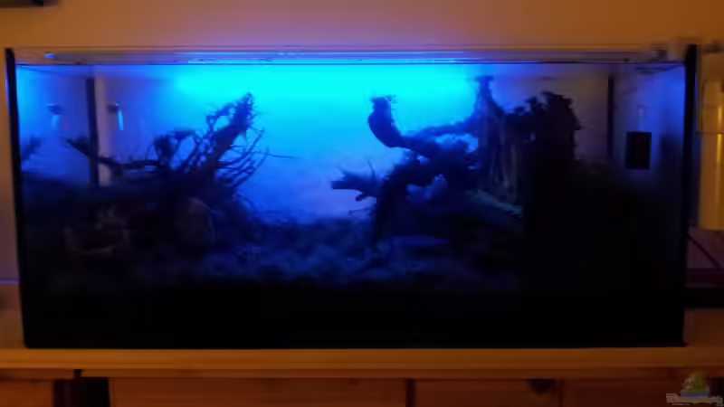 Mondlicht von Martin Lange (5)