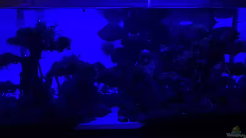 Mondlicht von Matze3110 (15)