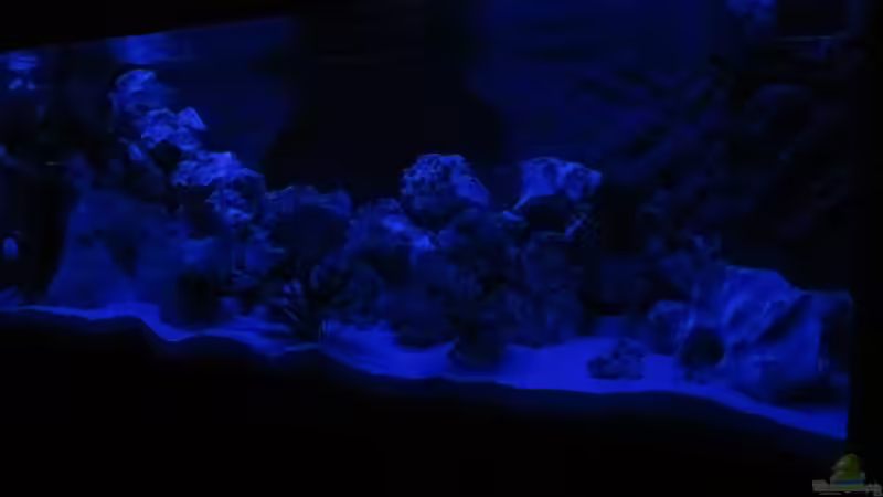 Mondlicht von Metalhead672 (6)