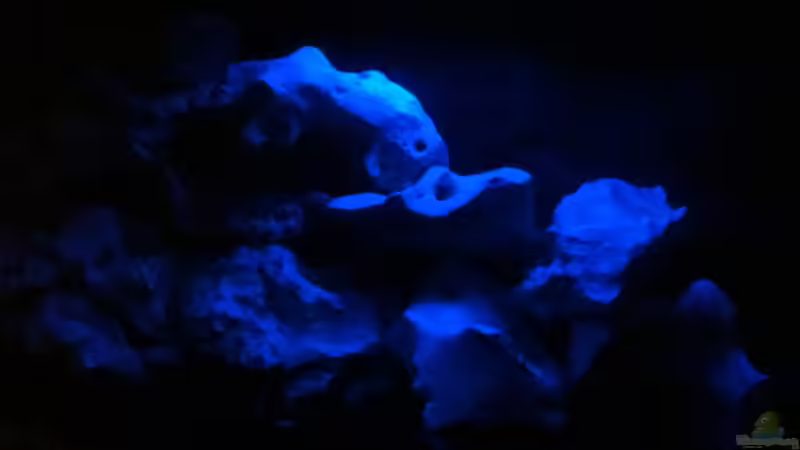 Mondlicht von Mueller76 (11)