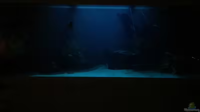 Mondlicht von Olaf Brandt (11)