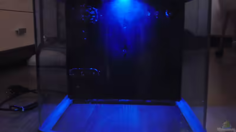 Mondlicht von Peter Tippmar (5)