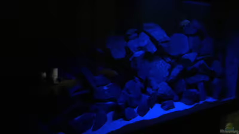 Mondlicht von Philipp Böhme (25)