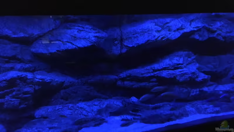 Mondlicht von Purki (87)