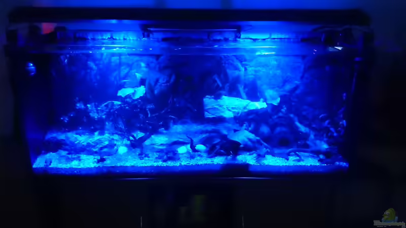 Mondlicht von Skalar8705 (2)