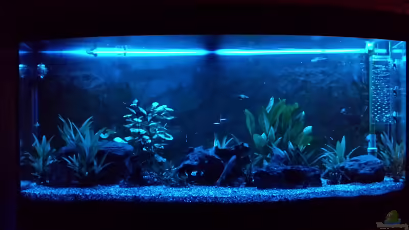 Mondlicht von smirot (2)