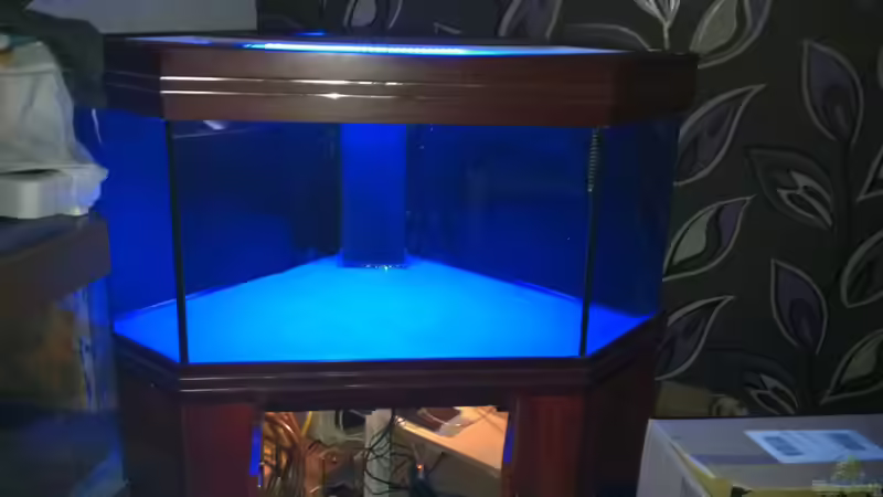 Mondlicht von Snakehead (17)