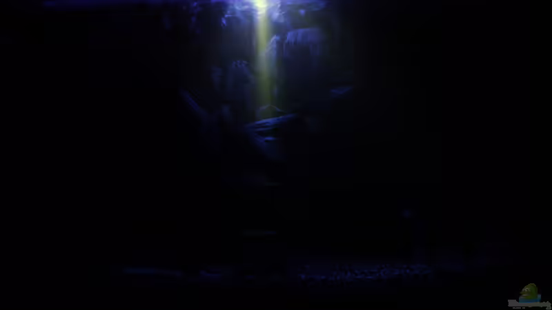 Mondlicht von SouthAmerica (20)