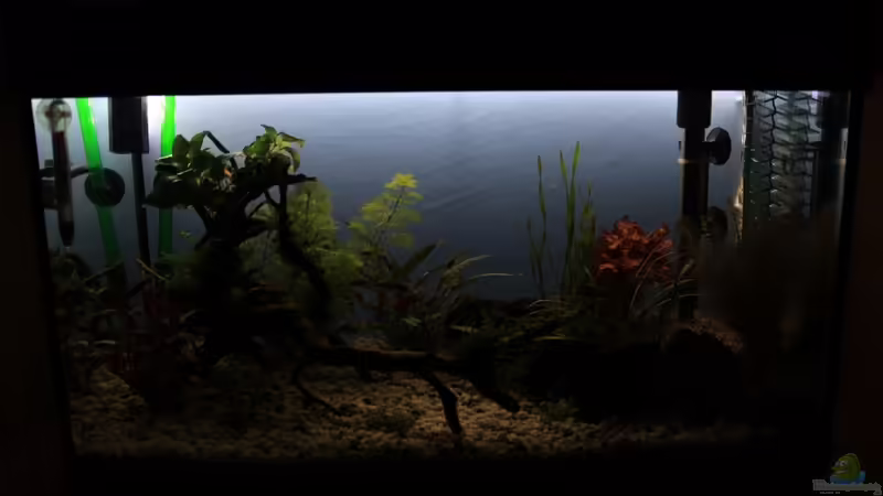 Mondlicht von Stefan F. (17)