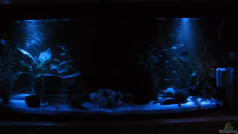 Mondlicht von Stefan Holzmann (3)