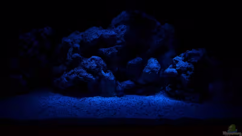 Mondlicht von Stefan Schulz (7)