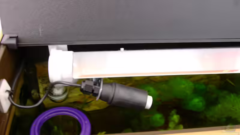 Mondlicht von Steve Knöfler (8)