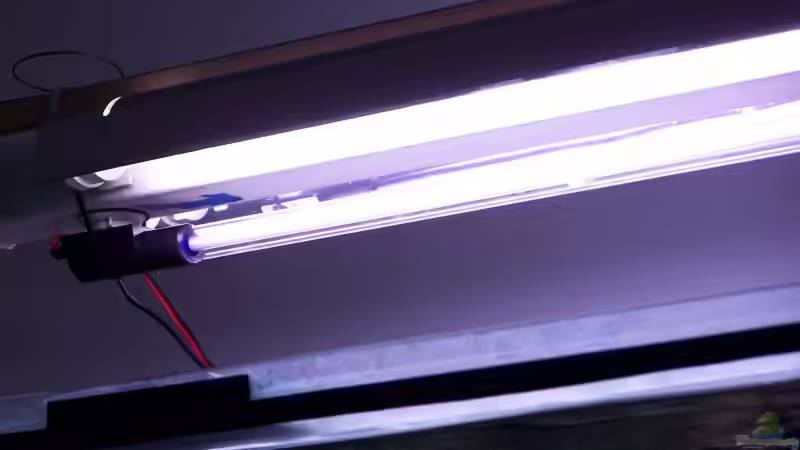 Mondlicht von Steve Röhning (13)