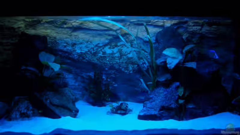 Mondlicht von Sven Roland (3)