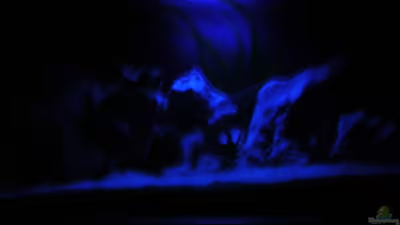 Mondlicht von Thomas Neuhaus (3)