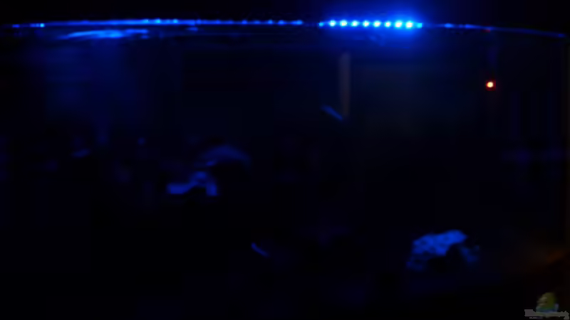 Mondlicht von Wall-E (9)