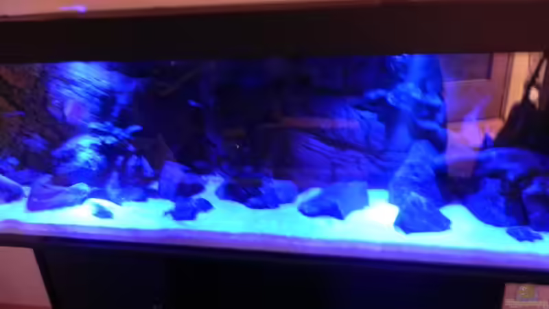 Mondlicht wirkt in Realität nicht so Discomäßig von Sternenseeträumer (9)