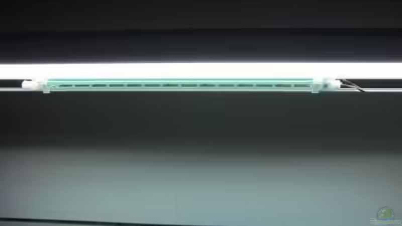 Mondlichtbalken LED blue von Malawi TOM (36)