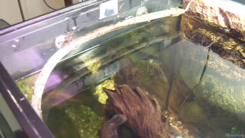 Mondlichtleiste (20 LED) von @quarium Cologne (66)