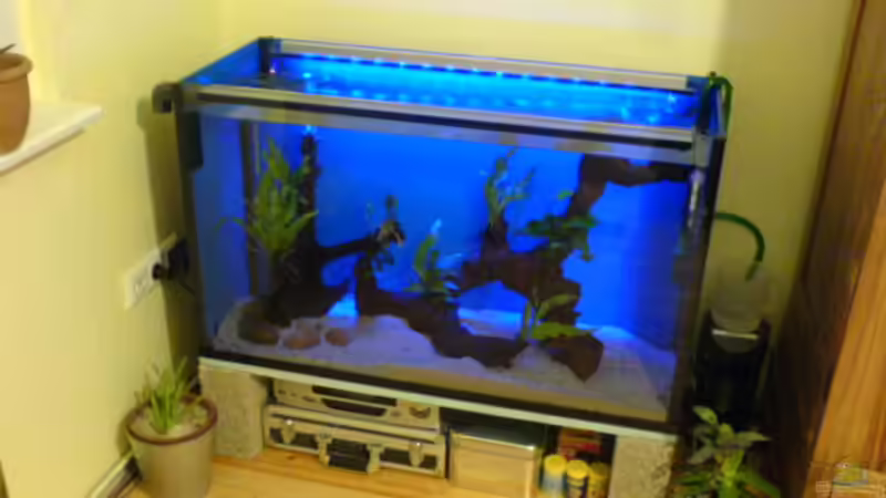 Mondlichtleiste von Ralf Kahl (14)