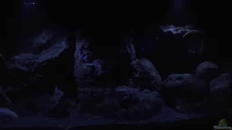 Mondlichtphase...Blau 25% und Weißanteil 3% von Dresdn3r (7)