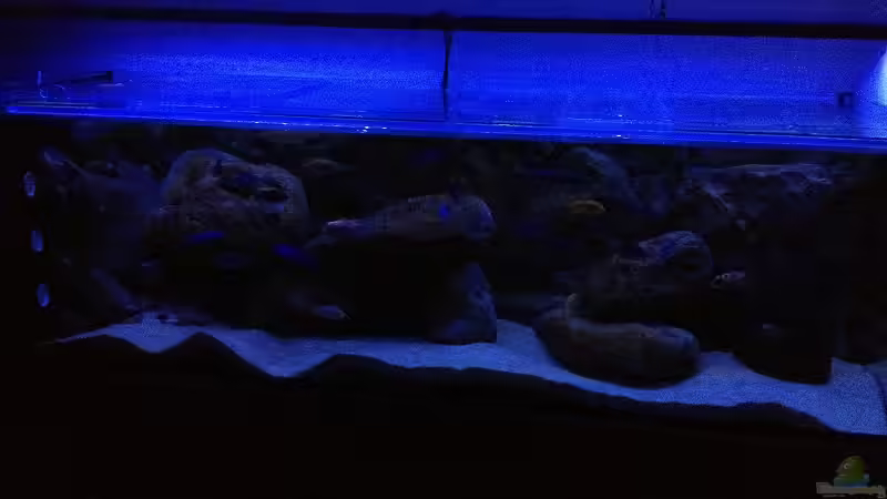 Mondphase anfangs von Waldteufel (19)