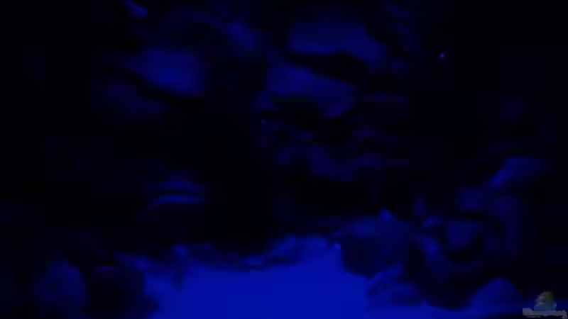 Mondphase nach 55 von prerow (8)