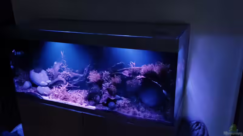 Mondphase von 30 Minuten gönn ich mir. Ergibt eine schöne Stimmung. Bessere Bilder von PEM (20)