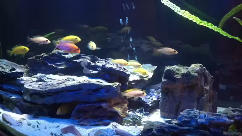 Mondphase von Thomas Roscher (6)