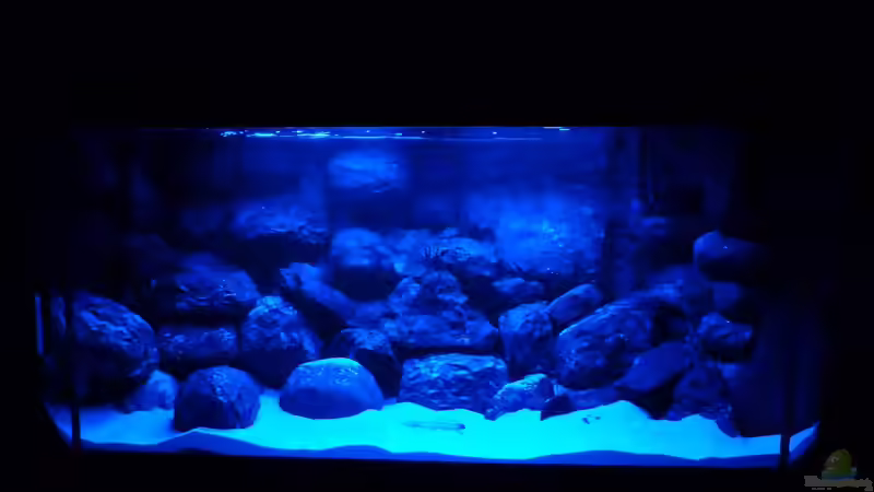 Mondschein von Der Michel (10)