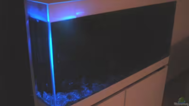 Mondschein von Johannes Högel (7)