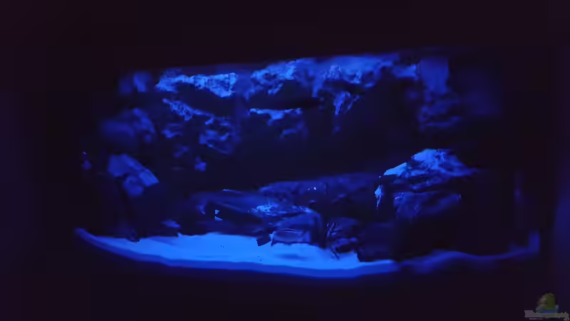 Mondschein von malawifans (5)