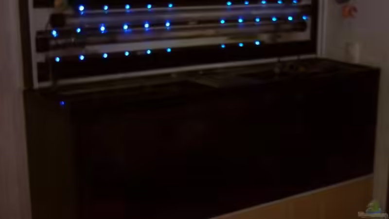 Mondscheinlicht (Marke; Eigenbau) von Tobias Ziemzek (20)