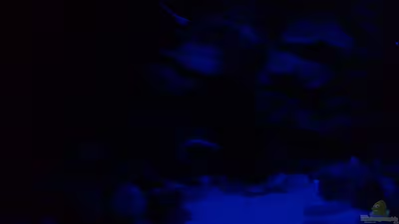 Monphase nach 1h 15min von prerow (9)