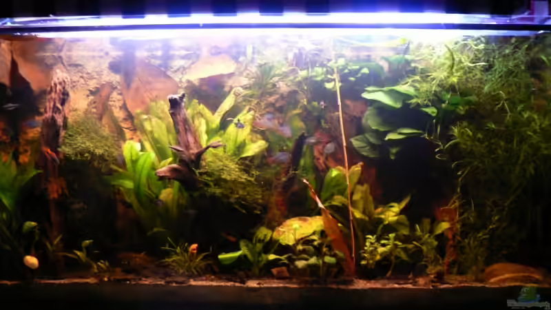 Montezumas Badewanne von Zapfenmanderl (1)