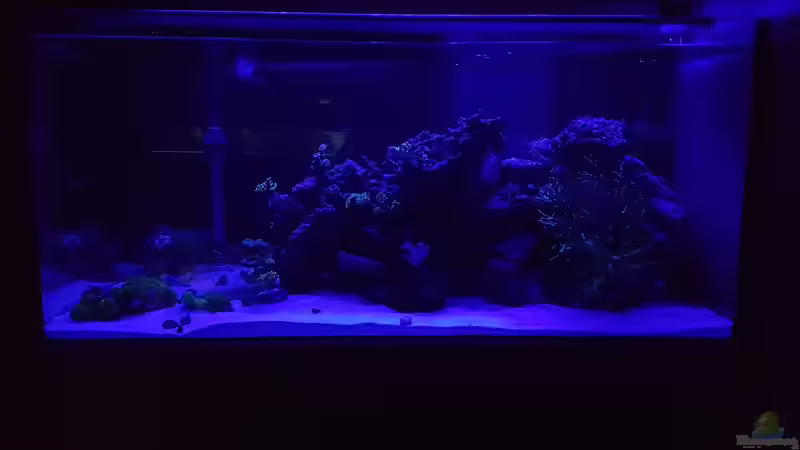 Moonlight von Kai Heermann (34)