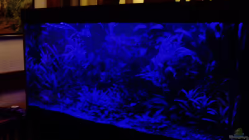 Moonriver Panoramasicht 10.03.2018 von Reiner Dr. Med. Jesse (11)