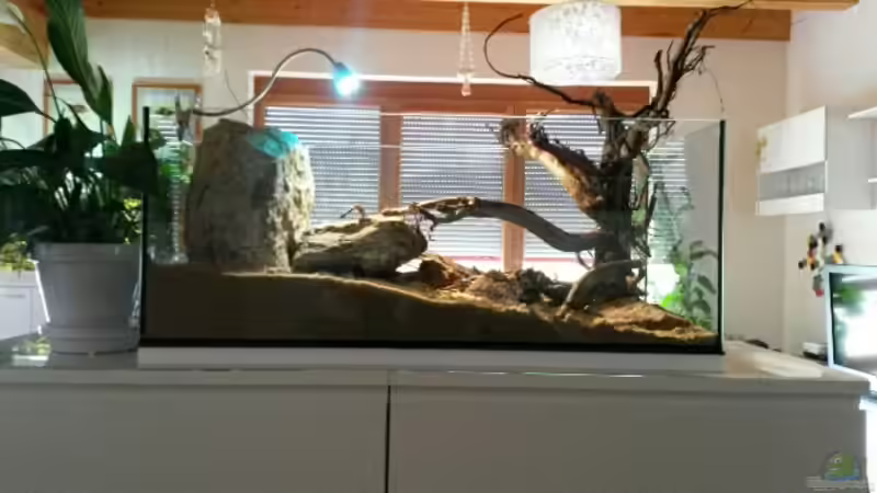 Moorkienholz auf schwarzem Schiefer (Eigenkonstruktion) folgt. von Markaroni (53)