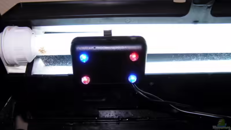 Morgen- / Mondlicht von Hobbl (9)