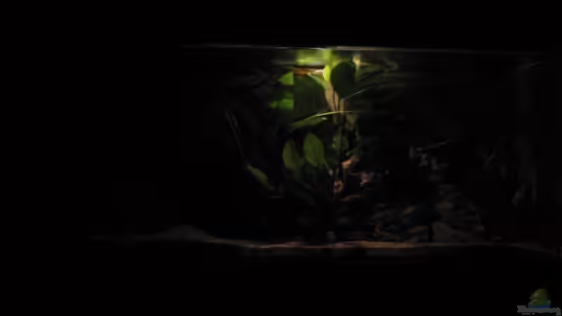 Morgen- und Nachtlicht mit 5 Watt Halogenleuchte von Klaus Hagemann (2)