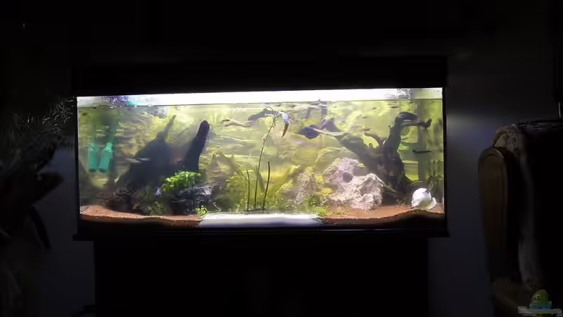 Morgen-Licht (Bild direkt nach Inbetriebnahme) von Dani82 (4)